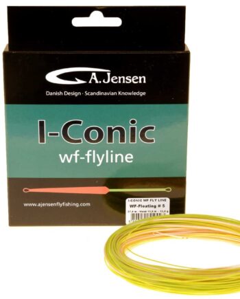Jensen  -conic Flydende