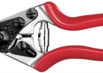 Felco   Beskæresaks