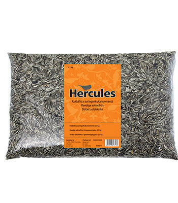 Hercules Stribet Solsikkefrø     Kg