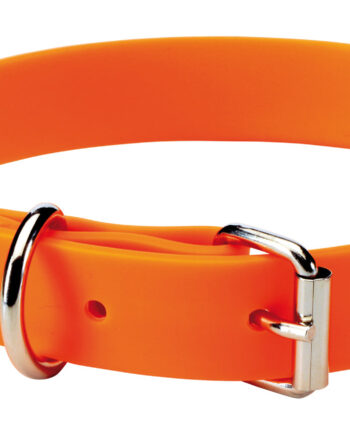 Hundehalsbånd 60 Cm Orange