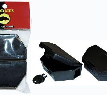 Muselokkeboks   Musekorn