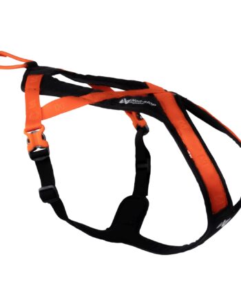 Non-stop Rush Harness  Black Orange