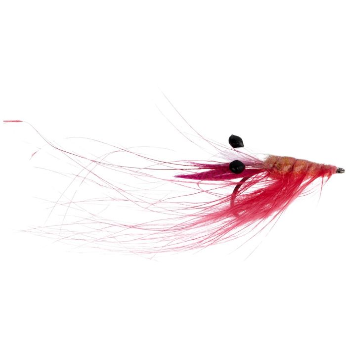Jensen Crangon Shrimp Pink
