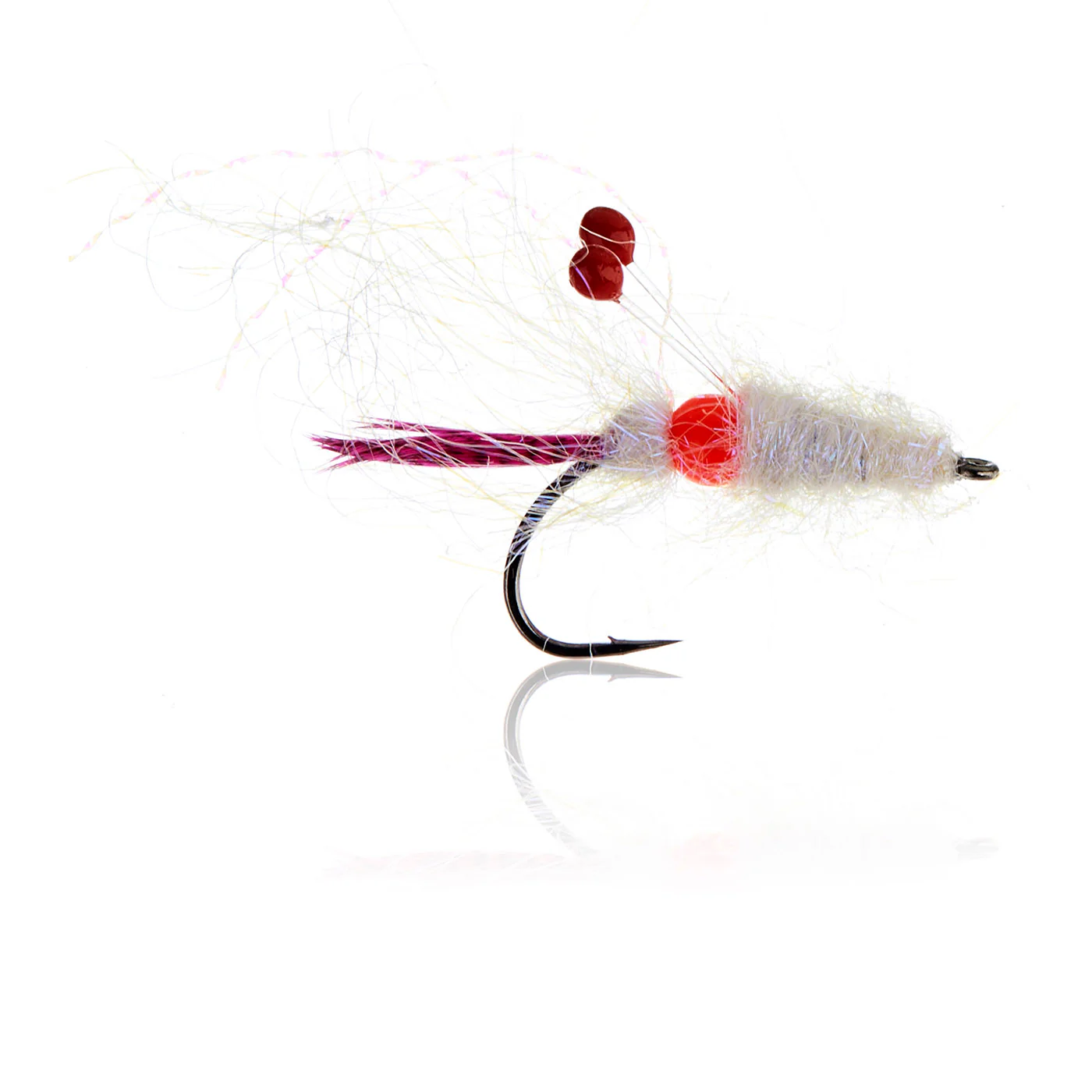 Hot Spot Shrimp Pink   Kystflue