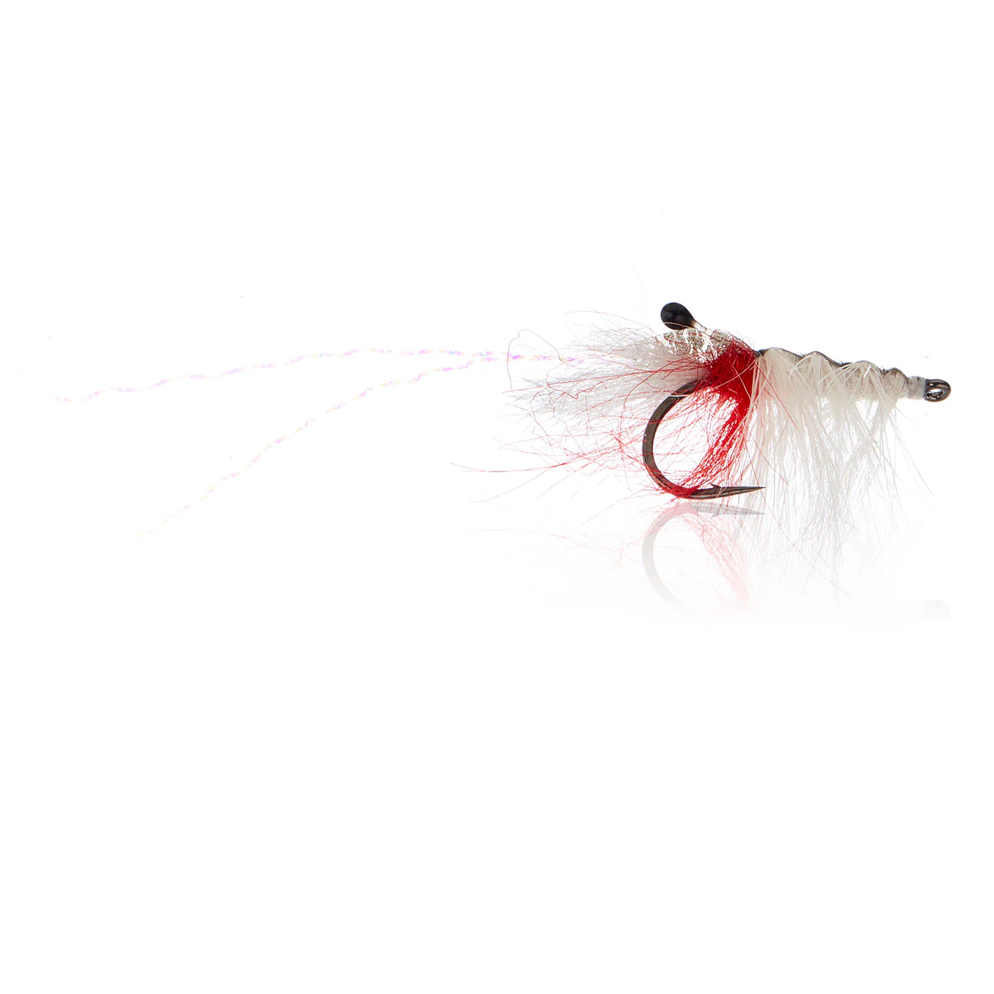 John Shrimp White  Kystflue