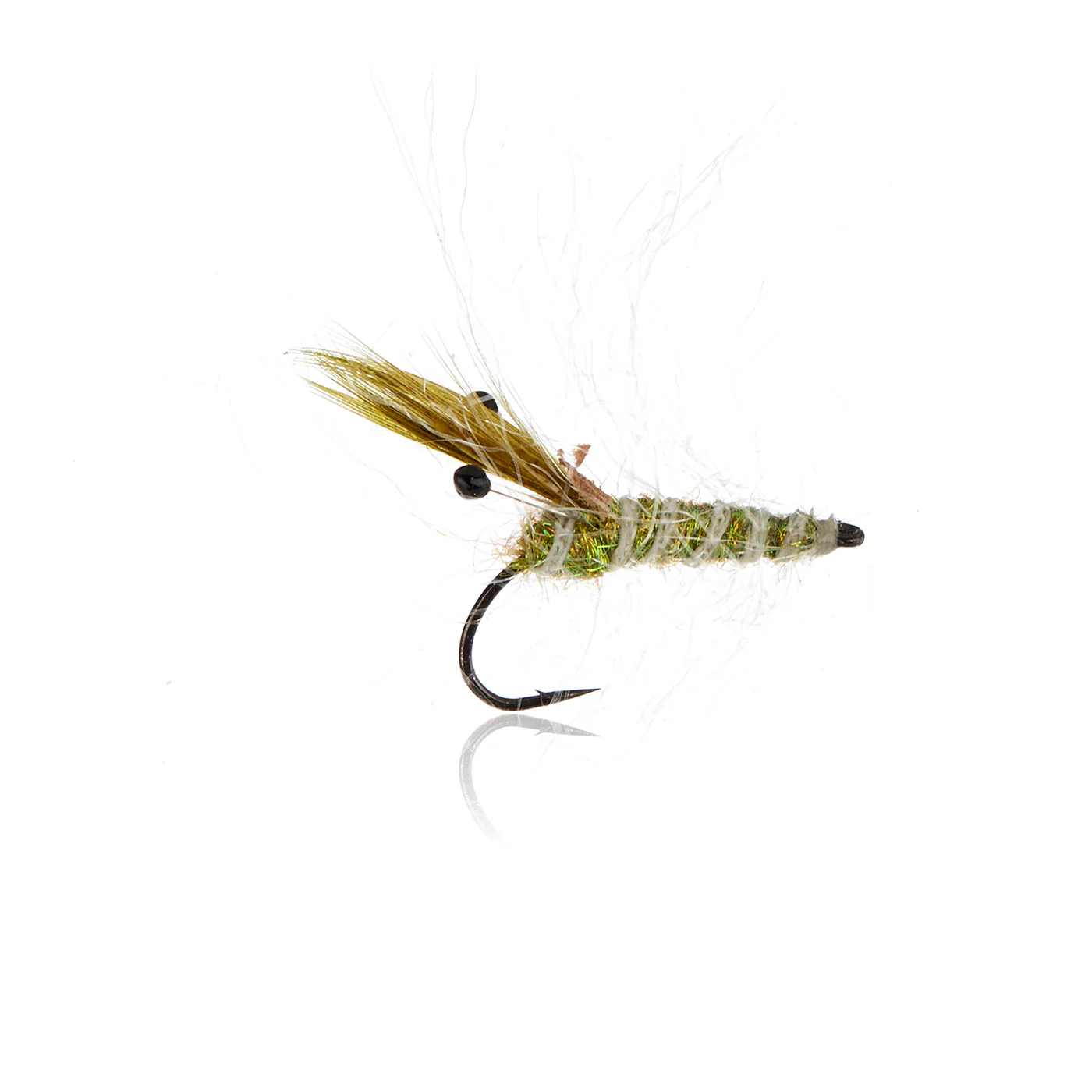 Panic Shrimp Olive  Kystflue