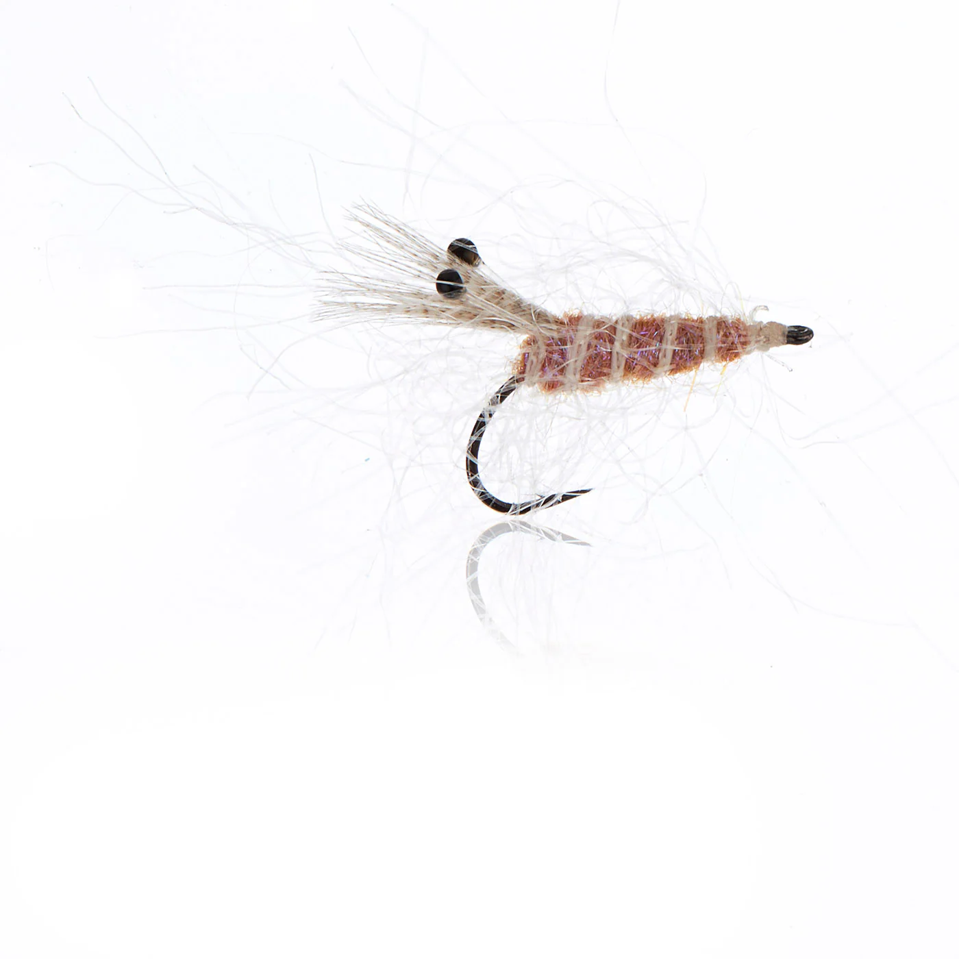 Panic Shrimp Tan  Kystflue