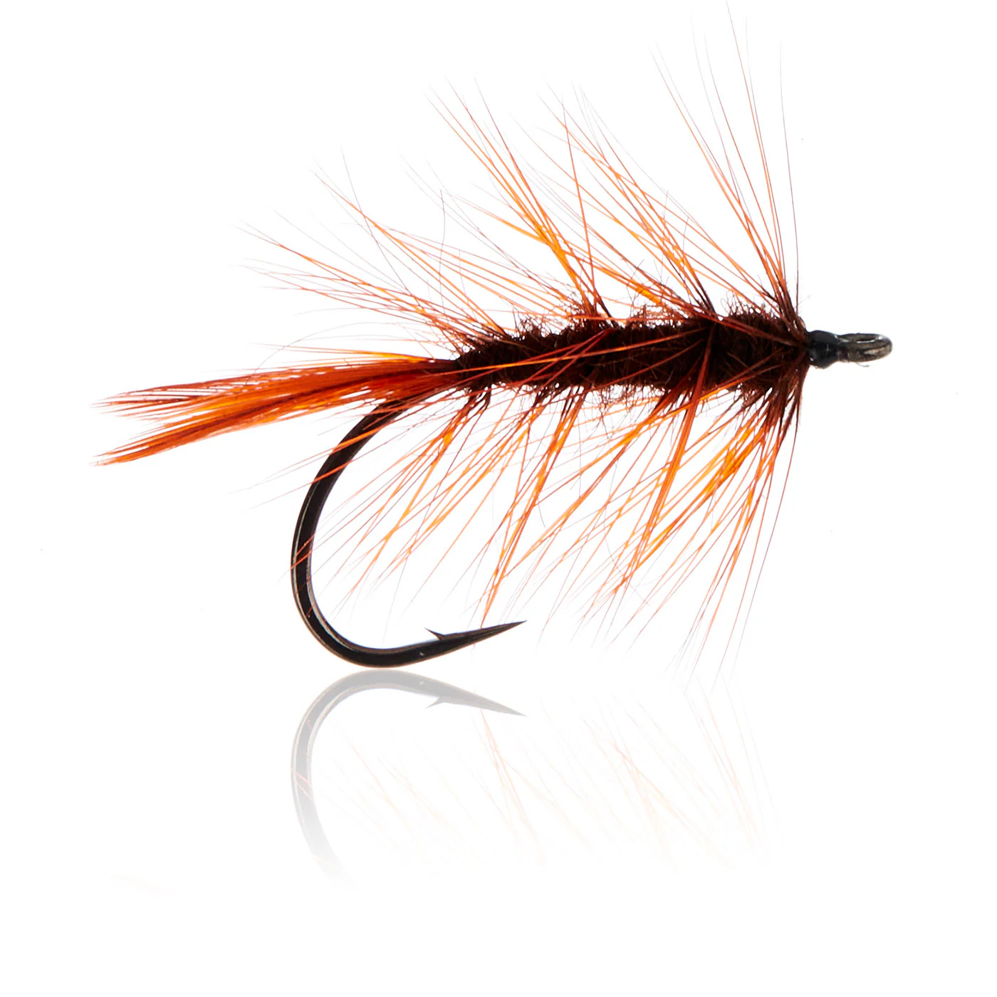 Rusty Magnus  Kystflue