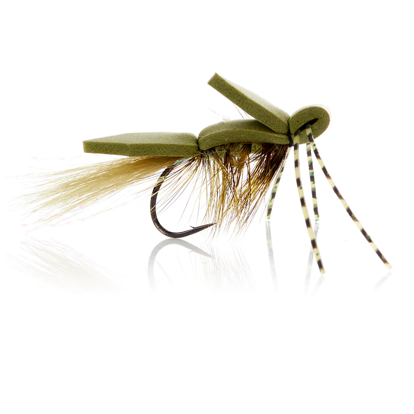 Skumflue Olive  Kystflue