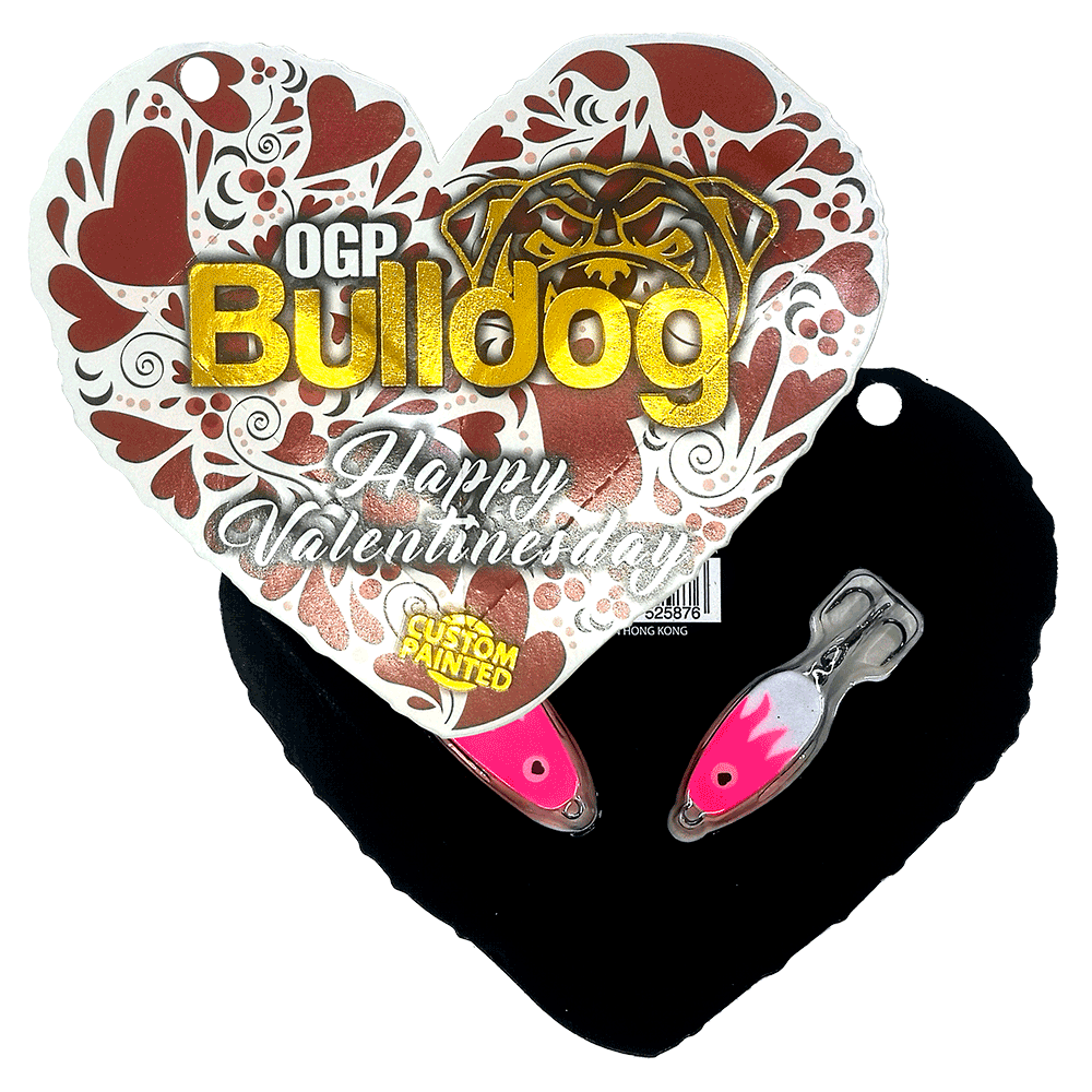 Bulldog Valentinesday 2023 Blink
