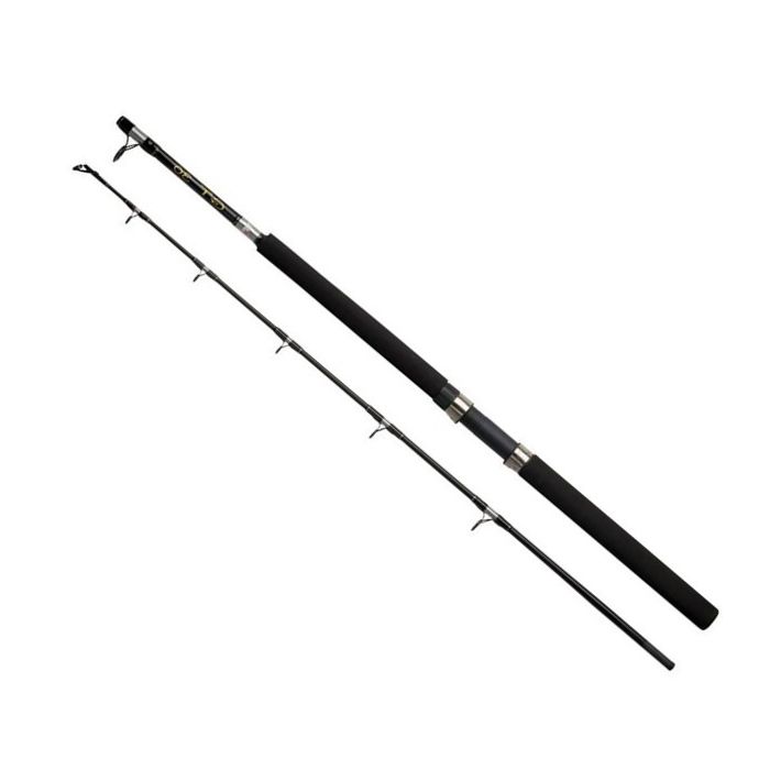 Abu Gt30 Boat     30lbs