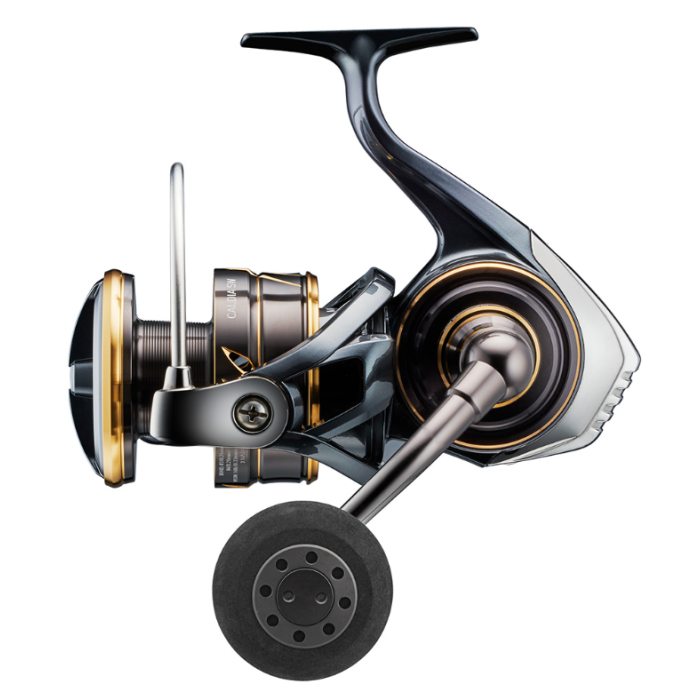 Daiwa Caldia Sw