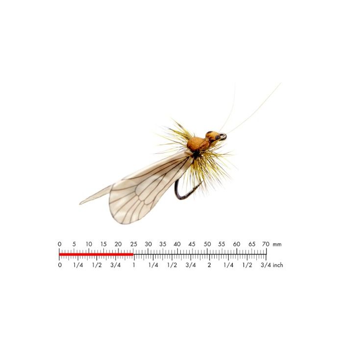:on Caddis Adult   Cinnamon Brown  12