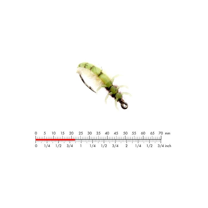 :on Caddis Larva   Green