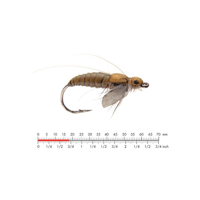 :on Caddis Pupa   Olive Brown  10