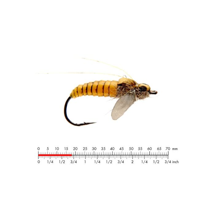 :on Caddis Pupa   Yellow  10