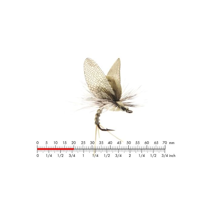 :on Mayfly Emerger   Light Olive  10