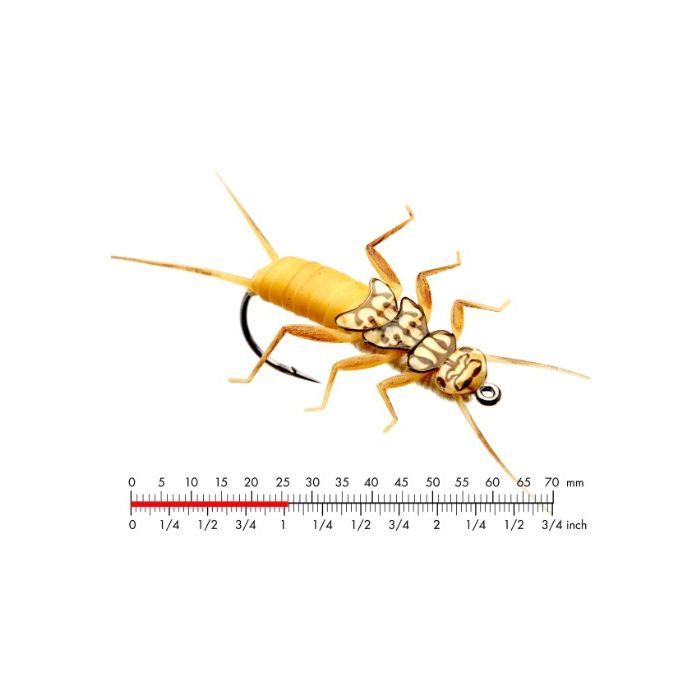 :on Stonefly Nymph   Gold