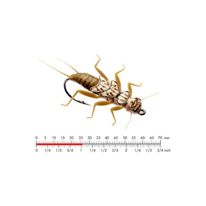 :on Stonefly Nymph   Olive Brown