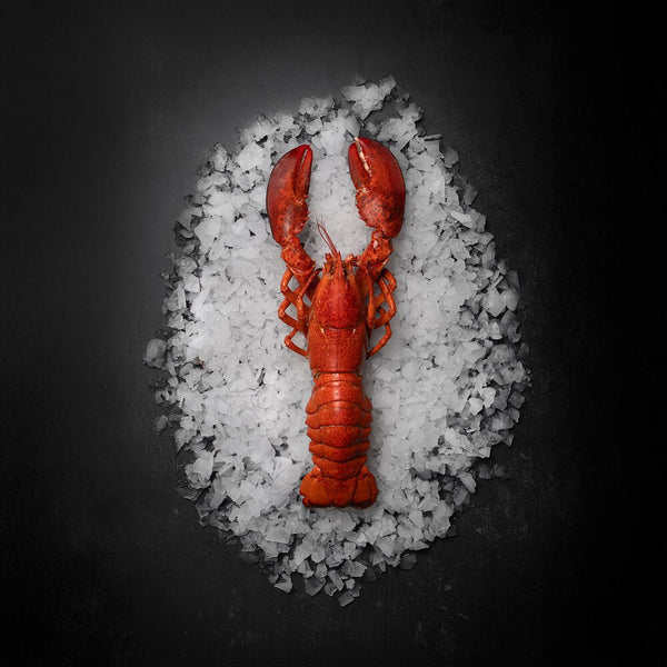 Hel Kogt Hummer