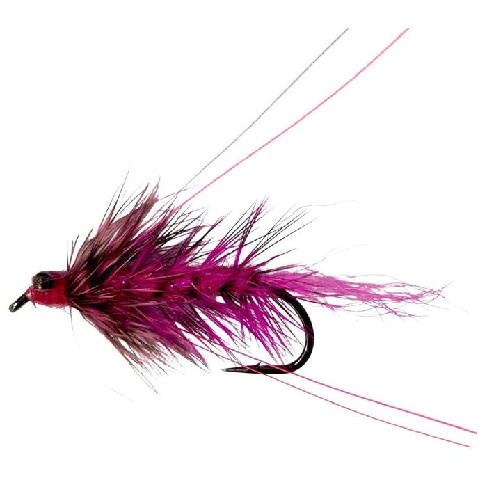 Fishmadman Candy Shot