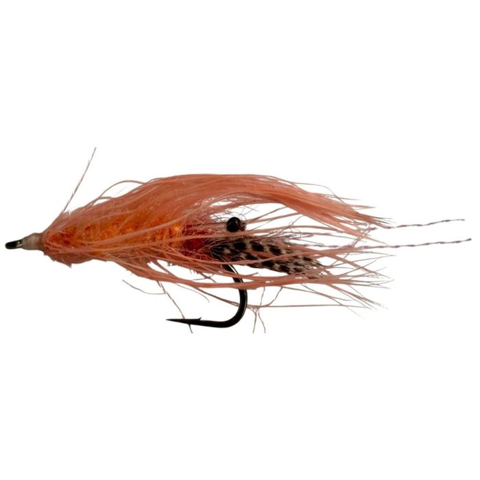 Fishmadman Salmon Shrimp