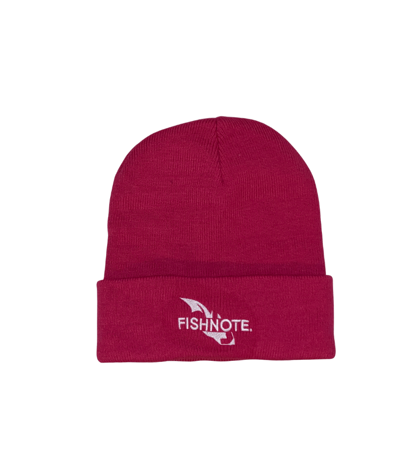 Fishnote Hue Pink