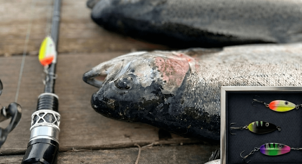 Fishnote Tasty Blink Pakke   Stk      Gratis