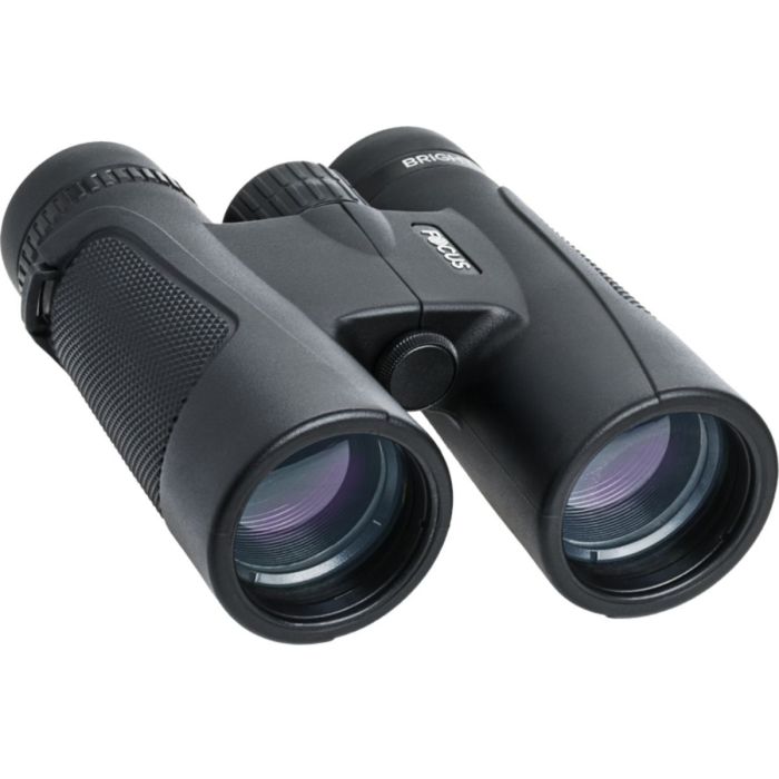 Focus Bright Kikkert 8x42