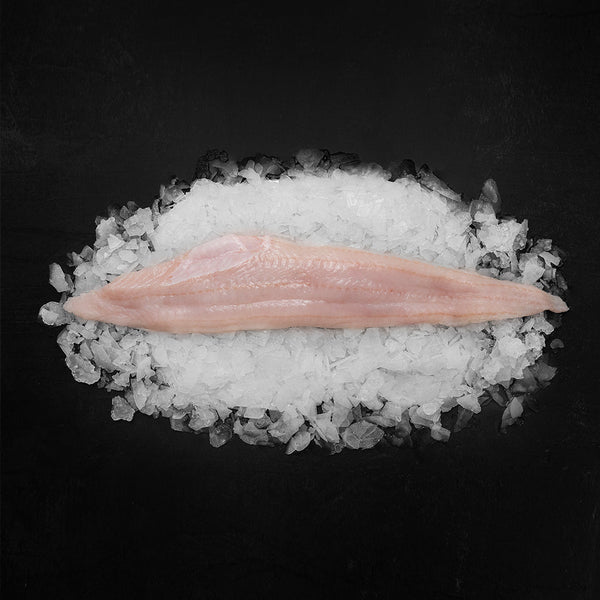 Linefanget Havkatfilet    Kg Tilbud