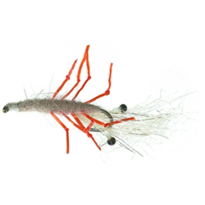 Unique Honey Shrimp Hot Leg
